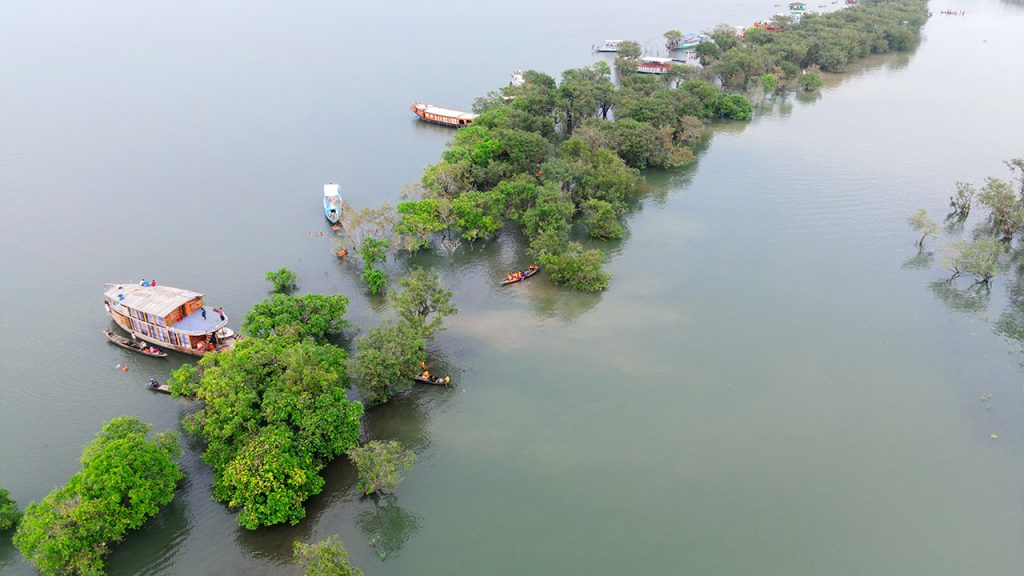Rajibul Swamp Forests in Sylhet Region
