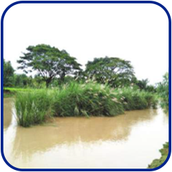 Rajibul Research Project 2.2