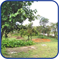 Rajibul Research Project 2.3