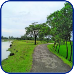 Rajibul Research Project 2.4